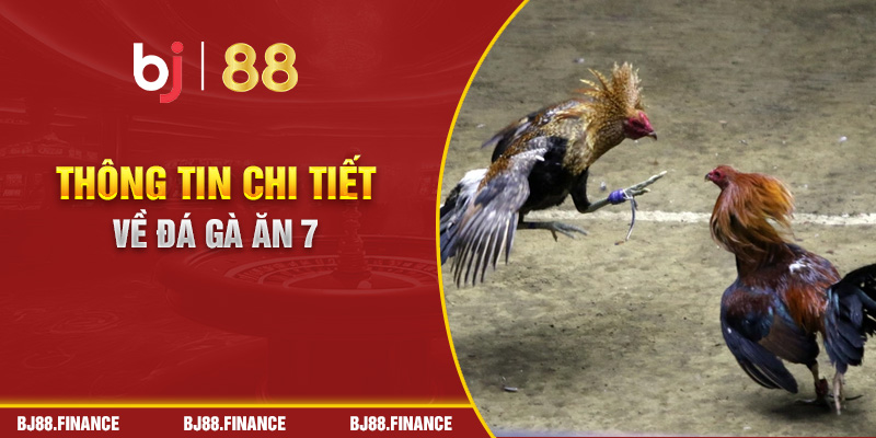 Thông tin chi tiết về đá gà ăn 7