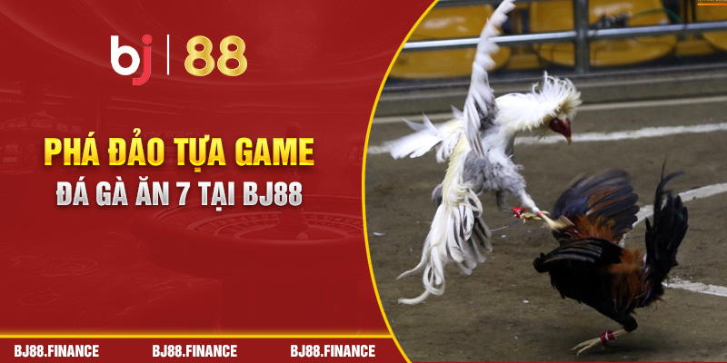 Phá đảo tựa game đá gà ăn 7 tại Bj88