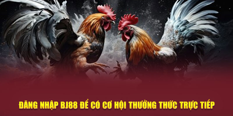 Đăng nhập BJ88 để có cơ hội thưởng thức trực tiếp