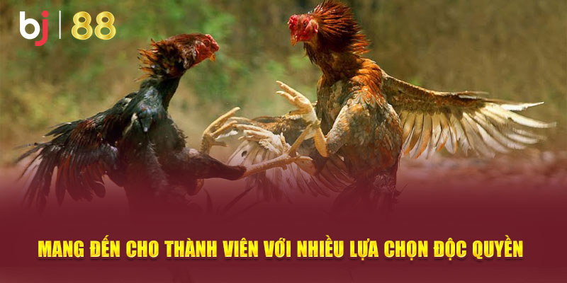 Mang đến cho thành viên với nhiều lựa chọn độc quyền