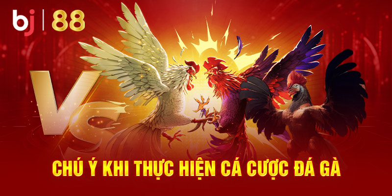 Chú ý khi thực hiện cá cược đá gà