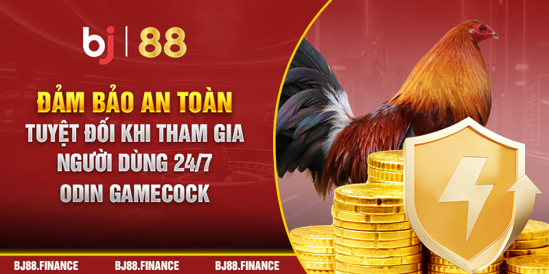 Bạn sẽ được đảm bảo an toàn tuyệt đối khi tham gia trải nghiệm tại Odin gamecock