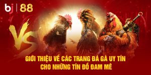 trang đá gà uy tín