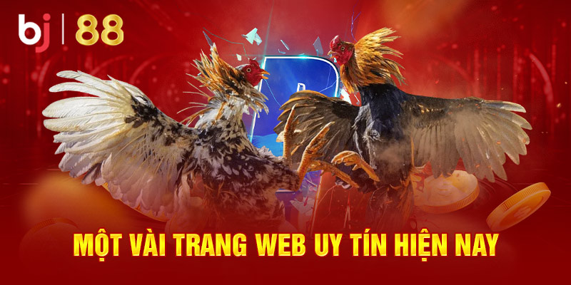 Một vài trang web uy tín hiện nay