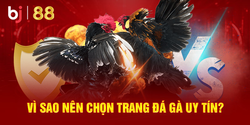 Vì sao nên chọn trang đá gà uy tín?