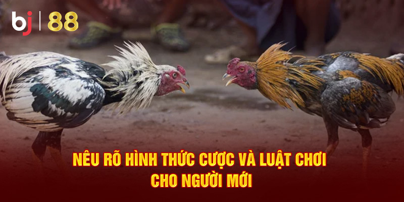 Nêu rõ hình thức cược và luật chơi cho người mới