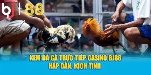 xem đá gà trực tiếp casino